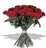 bunch of red roses