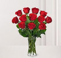 turkish red roses