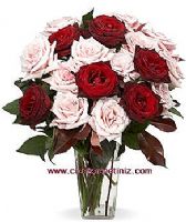 red roses flowers to turkey