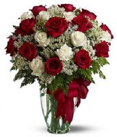 red and white roses turkey