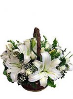 white rose and lilium