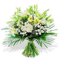 bunch of white flowers