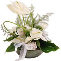 send white antourium to turkey